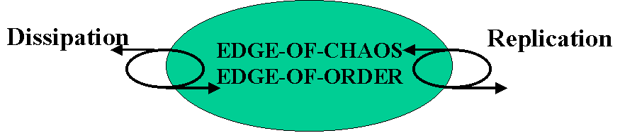 [Edge of Chaos Edge of Order]